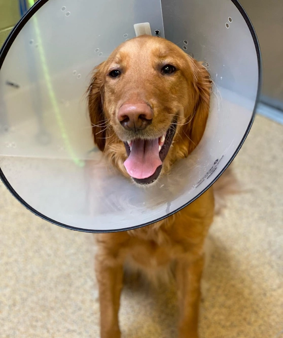 Laparoscopic Surgery