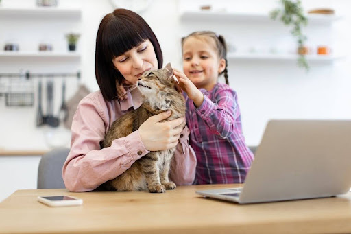 what-human-foods-can-cats-eat