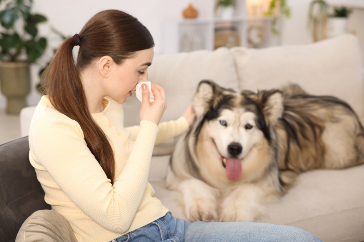 dog-skin-allergies-causes-symptoms-relief